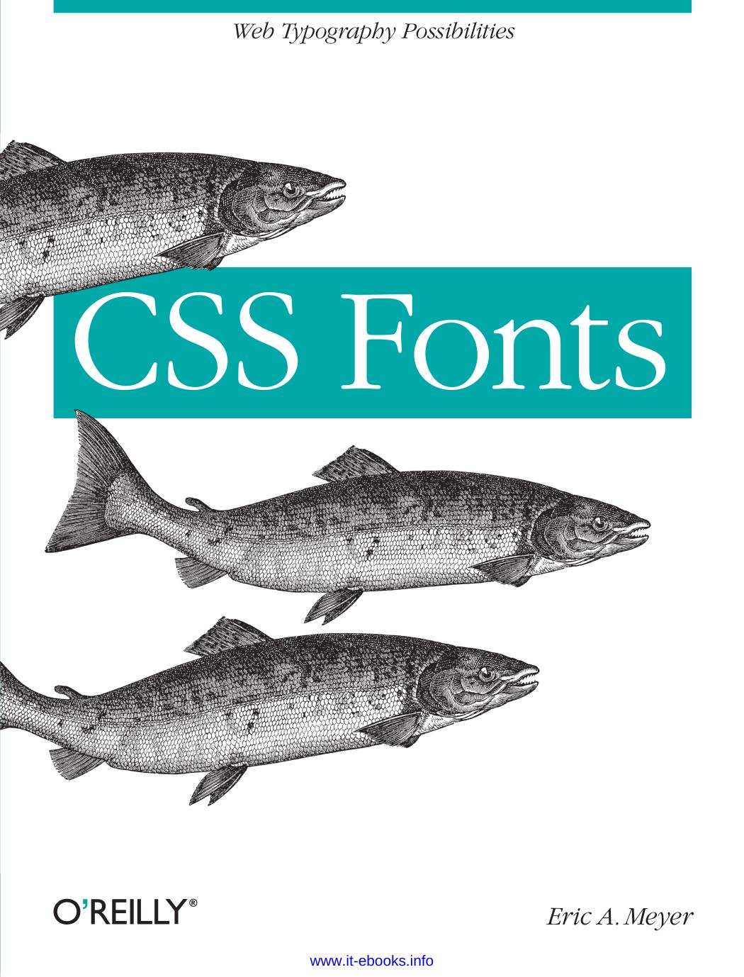 CSS Fonts: Web Typography Possibilities